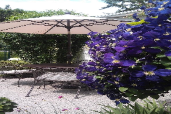 Hotel A View to Remember Bed & Breakfast (Kelowna)